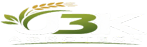 Alefox HTML